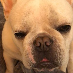 Meet your Posher, Jannah